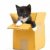 chaton · cute · blanche · orange · amusement · animaux - photo stock © 26kot