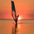 Silhouette of a windsurfer on waves of a gulf on a sunset 4 stock photo © acidgrey