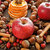 Crăciun · condimente · nuci · fructe · superficial - imagine de stoc © AGfoto