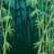 bambusz · erdő · sötét · trópusi · fa · boldog - stock fotó © Aiel