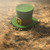 Lost Tiny Leprechaun Hat  stock photo © albund