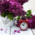 orgona · virágok · ébresztőóra · öreg · fa · asztal · óra - stock fotó © almaje