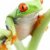 frog on plant isolated stock photo © alptraum