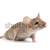 鼠標 · 孤立 · 白 · 性質 · 動物 - 商業照片 © alptraum