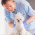 vétérinaire · chien · souriant · homme · médecin - photo stock © Amaviael