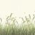 草原 · シルエット · ベクトル · 草 · オブジェクト - ストックフォト © angelp