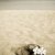 playa · vacaciones · par · sandalias · gafas · flores - foto stock © aremafoto