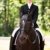 Horseback riding girl stock photo © aremafoto
