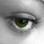 ziemlich · grünen · Auge · Makro · erschossen · wählerisch - stock foto © ArenaCreative