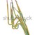 Ground yellow green wires stock photo © Arezzoni