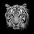 Black & White Beautiful tiger - isolated on black background stock photo © art9858