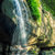 безмятежность · Sunshine · побережье · Австралия · лес · водопада - Сток-фото © artistrobd