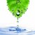 hoja · verde · gotas · de · agua · Splash · aislado · blanco · mundo - foto stock © artjazz