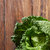 Green savoy cabbage stock photo © artjazz