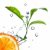 gotas · de · água · laranja · folhas · verdes · isolado · gotas - foto stock © artjazz
