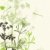 襤褸 · 花卉 · 綠色 · 效果 · 春天 · 草 - 商業照片 © Artspace