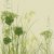 green grass background stock photo © Artspace