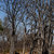 gioco · riserva · panorama · bella · delta · Botswana - foto d'archivio © artush