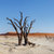 belo · paisagem · escondido · deserto · panorama · grande - foto stock © artush