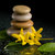 równoważenie · zen · kamienie · czarny · żółty · kwiat - zdjęcia stock © artush