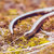 lento · gusano · ciego · serpientes · alimentos · parásito - foto stock © artush