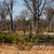 gioco · riserva · panorama · bella · delta · Botswana - foto d'archivio © artush