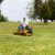 Senior man on zero turn lawn mower on turf stock photo © backyardproductions