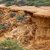 Kiefern · Park · robust · Rasiermesser · Erosion · Sandstein - stock foto © backyardproductions