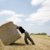 man pushing bale of hay stock photo © Bananna