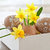 citromsárga · tojás · kagyló · festett · húsvéti · tojások · virágok - stock fotó © BarbaraNeveu