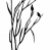 vector drawing stock photo © basel101658