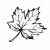 sketch of the sheet of the maple on white background stock photo © basel101658