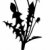 vecteur · silhouette · pissenlit · blanche · arbre · design - photo stock © basel101658