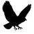 vettore · disegno · silhouette · uccello · bianco · natura - foto d'archivio © basel101658