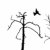 siluet · kuru · ağaç · kuşlar · yalıtılmış · beyaz - stok fotoğraf © basel101658