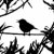向量 · 畫 · 鳥 · 支 · 春天 · 設計 - 商業照片 © basel101658