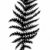 vecteur · silhouette · fiche · fougère · blanche · arbre - photo stock © basel101658