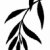 vecteur · silhouette · branche · blanche · arbre · design - photo stock © basel101658