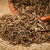 キャラウェー · 種子 · ボウル · 陶器 · 自然 · クローズアップ - ストックフォト © bdspn