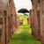 Ancient Roman Arch Walls Street Ostia Antica Rome Italy stock photo © billperry