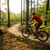 Mountain biker riding cycling in summer forest stock photo © blasbike