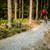 Mountain biker riding cycling in summer forest stock photo © blasbike