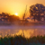 gyönyörű · ködös · napfelkelte · folyó · víz · tavasz - stock fotó © bogumil