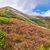 西部 · 山 · 雲 · 自然 · 風景 · 夏 - ストックフォト © bogumil