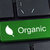 Green computer keyboard button with the word organic and leaf ic stock photo © borysshevchuk
