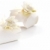 pequeño · presente · cuadro · decorado · flor · blanco - foto stock © brebca
