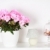virágok · belső · részlet · különböző · fehér · fa - stock fotó © brebca