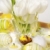 Wielkanoc · szczegół · tabeli · dekoracji · Easter · Eggs · biały - zdjęcia stock © brebca