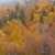 Autumn colors stock photo © broker