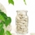 pastillas · frescos · hojas · medicina · alternativa - foto stock © brozova